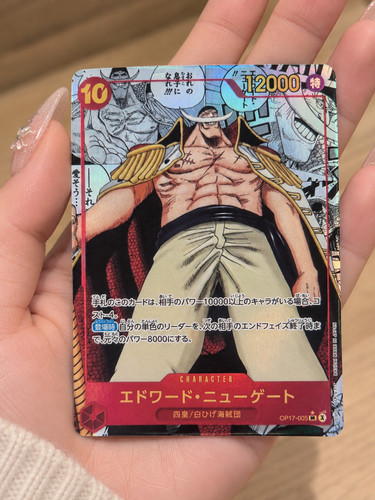 Edward newgate op17 005 manga - edward,